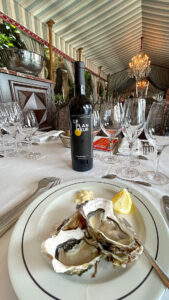 Vino y ostras | Wine and oysters