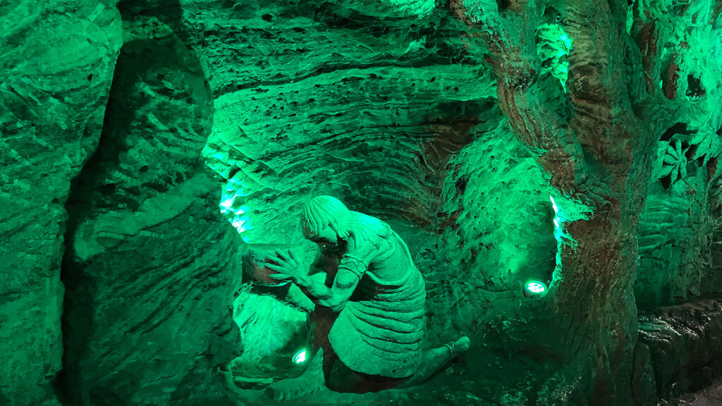 Árbol de la Vida | Tree of Life